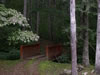 Path To The Woods